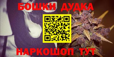 дживик Сланцы