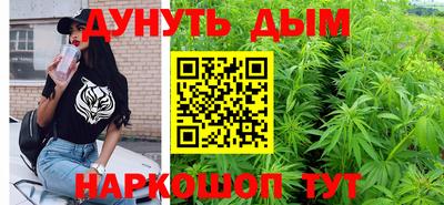 тгк Славгород