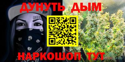 дживик Сланцы