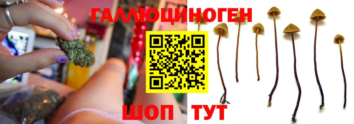 Псилоцибиновые грибы мицелий Пыть-Ях